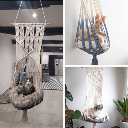 Pet Swing